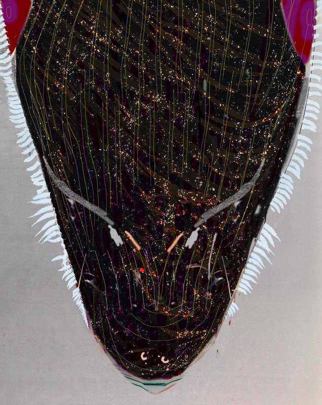 Alex Fischer, Up, 2011